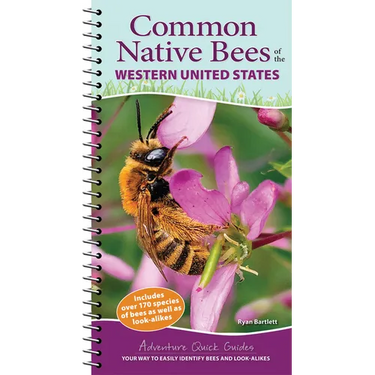 Common Native Bees of the Western United States: Your Way to Easily Identify Bees and Look-Alikes