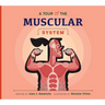 A Tour of the Muscular System