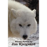 Eleven Novels by Jim Kjelgaard (complete and unabridged) including: The Spell of the White Sturgeon, The Lost Wagon, Trading Jeff and his Dog, Double