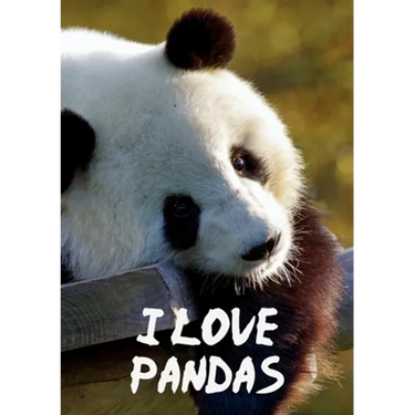 I Love Pandas Notebook
