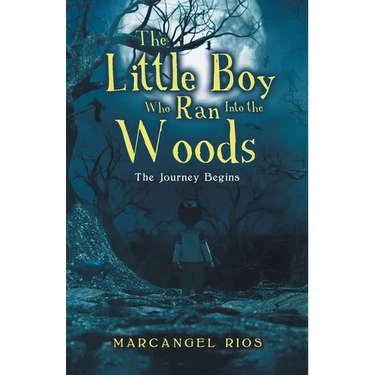 The Little Boy Who Ran into the Woods: The Journey Begins
