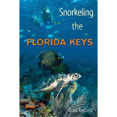 Snorkeling the Florida Keys