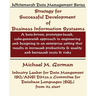 Strategy for Successful Development of Information Systems