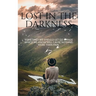 lost in the darkness