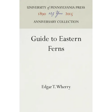 Guide to Eastern Ferns