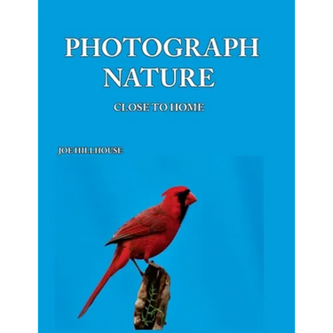 Photograph Nature: Close To Home