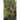 Crossing the Moss Line