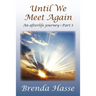 Until We Meet Again: An afterlife journey - Part 3