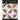 The New England Quilt Museum Quilts: Featuring the Story of the Mill Girls Instructions for 5 Heirloom Quilts
