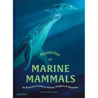 Mysteries of Marine Mammals: An Illustrated Guide to Whales, Dolphins, and Porpoises