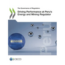 Driving Performance at Peru's Energy and Mining Regulator