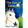 The Eye of Callanish