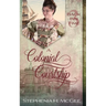 A Colonial Courtship: A Time Travel Romance