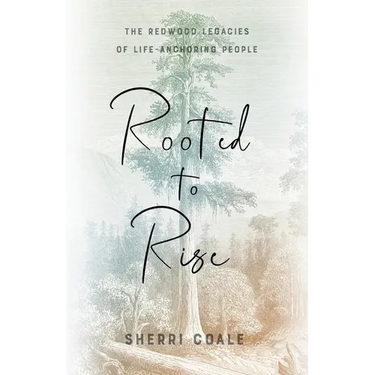 Rooted to Rise: The Redwood Legacies of Life-Anchoring People