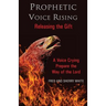 Prophetic Voice Rising: Releasing the Gift