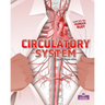 Circulatory System