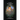 A Most Mysterious Fossil