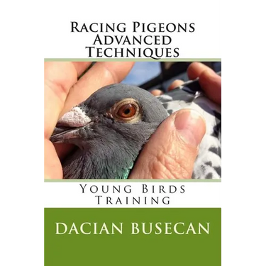 Racing Pigeons Advanced Techniques: Young Birds Training
