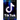 TikTok: Becoming the Influencer: Have Fun Making Your First Million $
