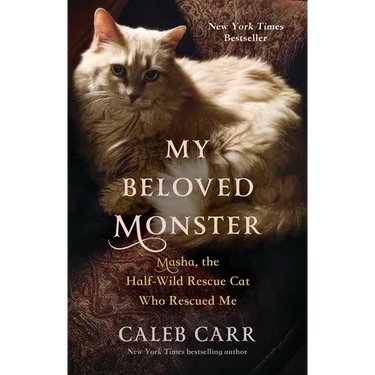 My Beloved Monster: Masha, the Half-Wild Rescue Cat Who Rescued Me