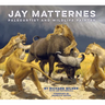 Jay Matternes: Paleoartist and Wildlife Painter