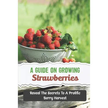 A Guide On Growing Strawberries: Reveal The Secrets To A Prolific Berry Harvest