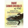 Dwarf Caiman Crocodiles as Pets: Dwarf Caiman facts, care, breeding, nutritional information, tips, husbandry and more! Caring For Your Dwarf Caiman C