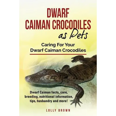 Dwarf Caiman Crocodiles as Pets: Dwarf Caiman facts, care, breeding, nutritional information, tips, husbandry and more! Caring For Your Dwarf Caiman C