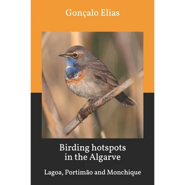 Birding hotspots in the Algarve: Lagoa, Portimão and Monchique