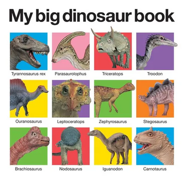 My Big Dinosaur Book