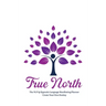 True North The NLP & Hypnotic Language Manifesting Planner - Create Your Own Destiny