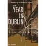 My Year in Dublin: Adventures of an American in Ireland