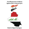 The Effectiveness of Efforts Against ISIS in Iraq and Syria