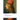 Studies in the History of the Renaissance