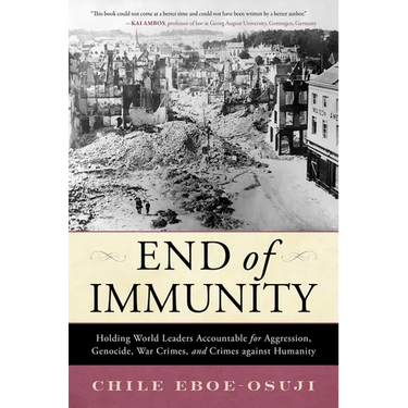 End of Immunity: Holding World Leaders Accountable for Aggression, Genocide, War Crimes, and Crimes against Humanity