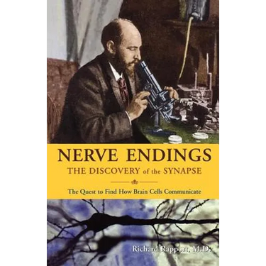 Nerve Endings: The Discovery of the Synapse