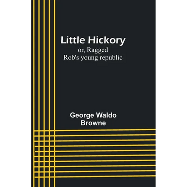 Little Hickory; or, Ragged Rob's young republic