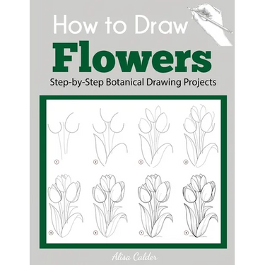 How to Draw Flowers: Step-by-Step Botanical Drawing Projects