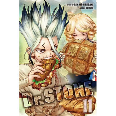 Dr. Stone, Vol. 11