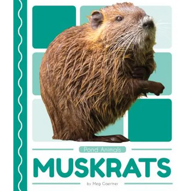 Muskrats