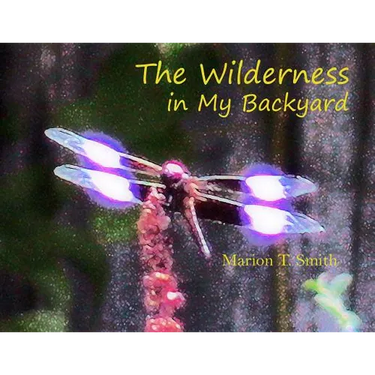The Wilderness in My Backyard