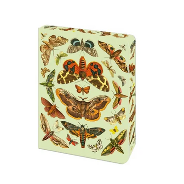 The Moth Journal: Blank Lined Notebook