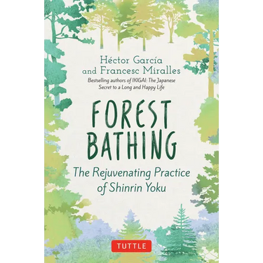 Forest Bathing: The Rejuvenating Practice of Shinrin Yoku