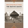Reconstructing the Native South: American Indian Literature and the Lost Cause