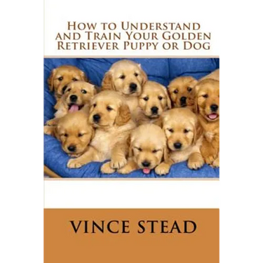 How to Understand and Train Your Golden Retriever Puppy or Dog
