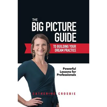 The Big Picture Guide to Building Your Dream Practice: Powerful Lessons for Professionals