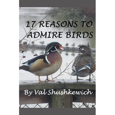17 Reasons to Admire Birds