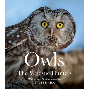 Owls: The Majestic Hunters