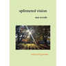 splintered vision