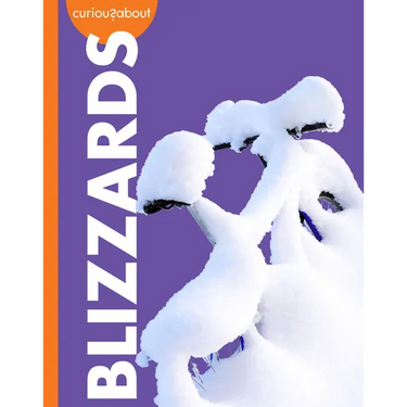Curious about Blizzards
